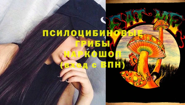 эйфоретик Алексин