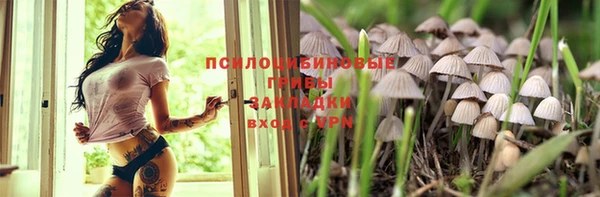 эйфоретик Алексин