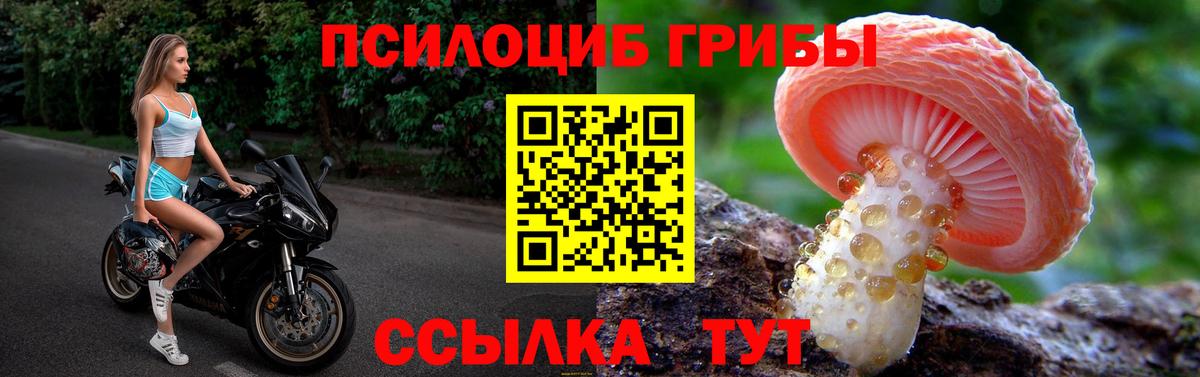 Галлюциногенные грибы прущие грибы  Псилоцибиновые грибы Magic Shrooms  Якутск  Вход с VPN 