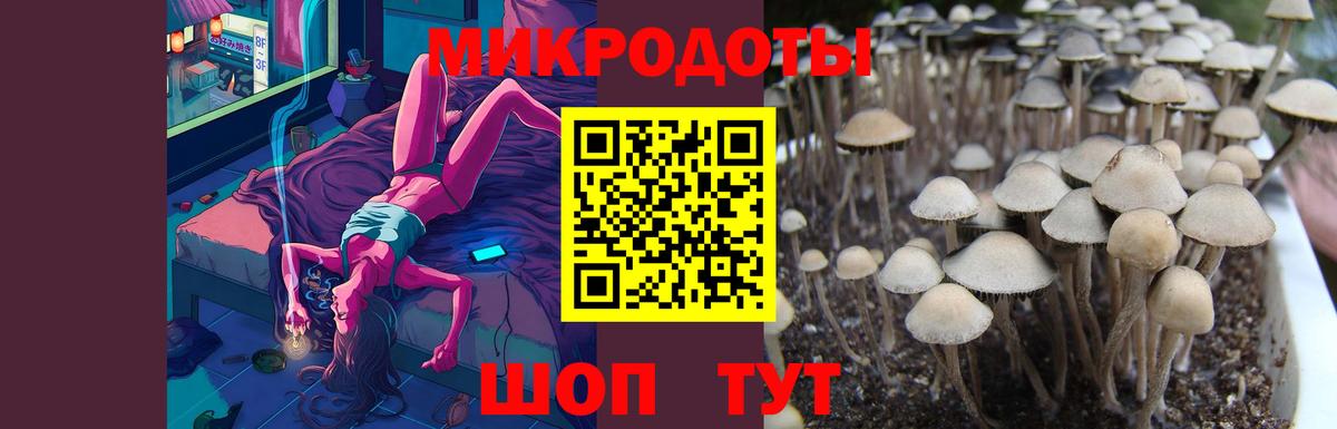 Галлюциногенные грибы ЛСД Якутск